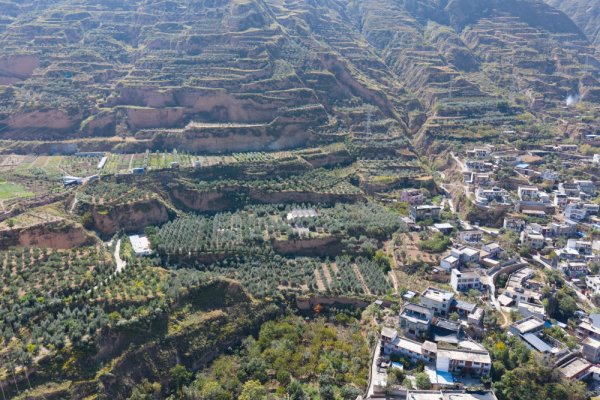 股票配资平台平台 中国经济样本观察·“镇”了不起｜地中海舶来的“金果果”，榨出40亿元“油产业”