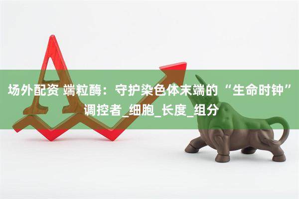 场外配资 端粒酶：守护染色体末端的 “生命时钟” 调控者_细胞_长度_组分